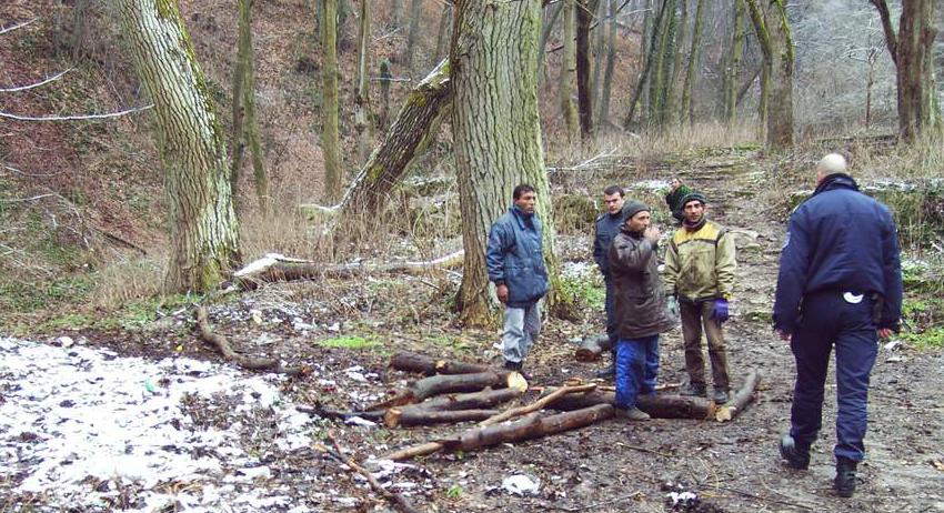 Горски конфискуваха 86 коли и каруци на бракониери