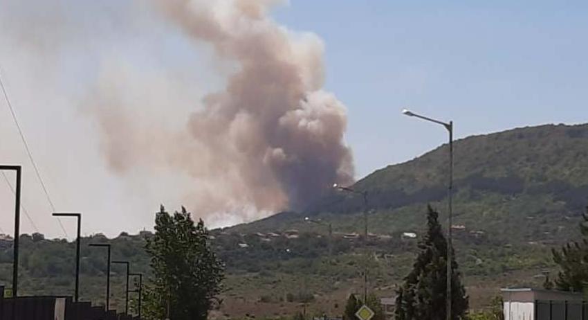 Голям горски пожар над Дивдядово 
