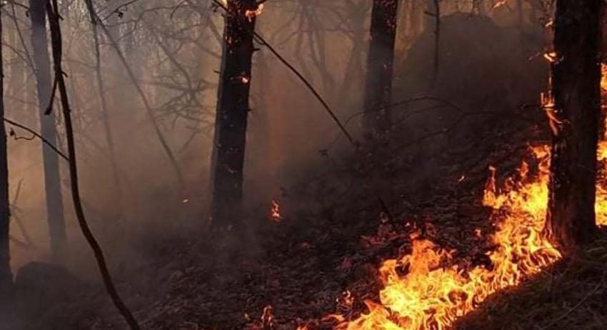 Пожарът над Дивдядово е локализиран. Въпрос на време е да бъде погасен /ВИДЕО/