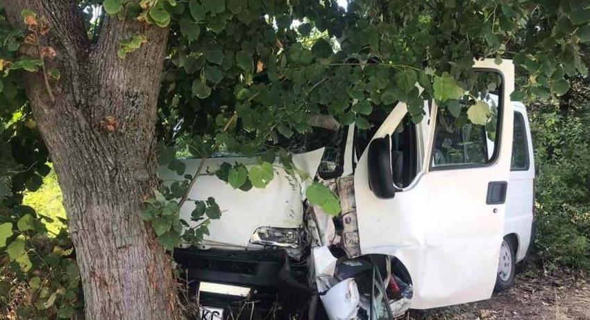 Шофьор с опасност за живота след челен удар в дърво