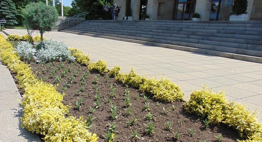 Започна лятното зацветяване в Шумен