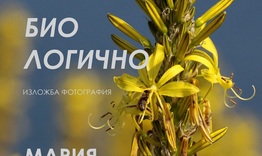 „Био логично“ – изложба на Мария Касчиева