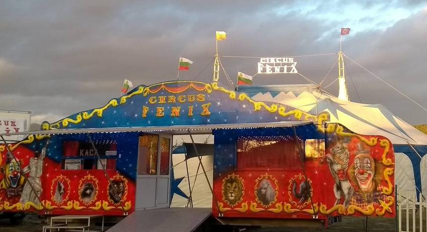 Община Нови пазар осигури безплатни детски билети за цирк "Феникс"