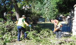 Разчистват паднали дървета и клони в Шумен