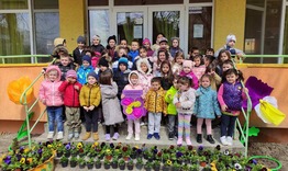 1 000 теменужки за Първа пролет засадиха децата в община Нови пазар 