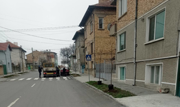 Над 80 дръвчета ще бъдат засадени през следващите дни в Нови пазар