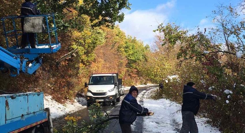 Разчистват нападали клони след силния вятър