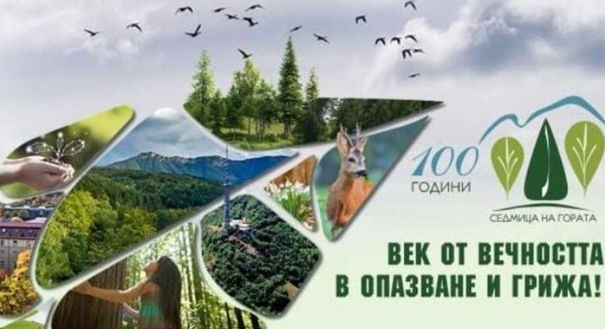100 години Седмица на гората