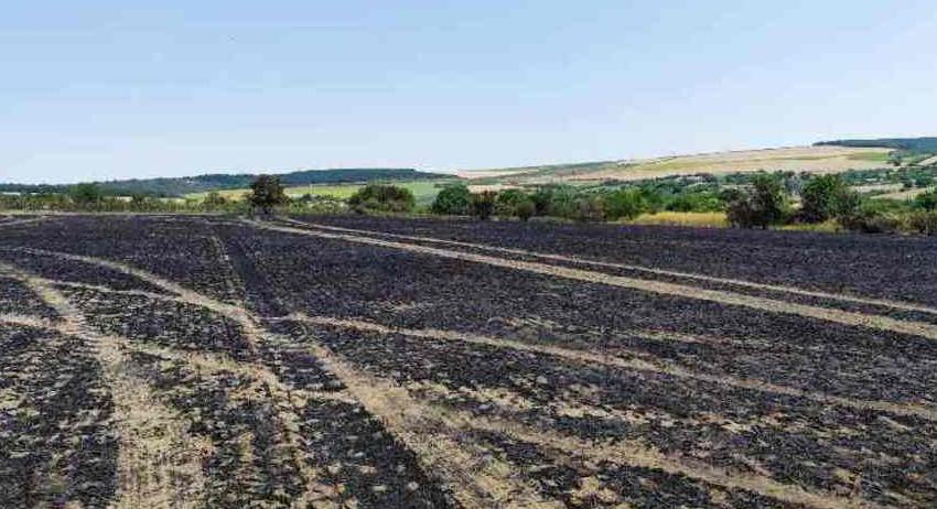 Няма пострадали по време на пожара в село Развигорово