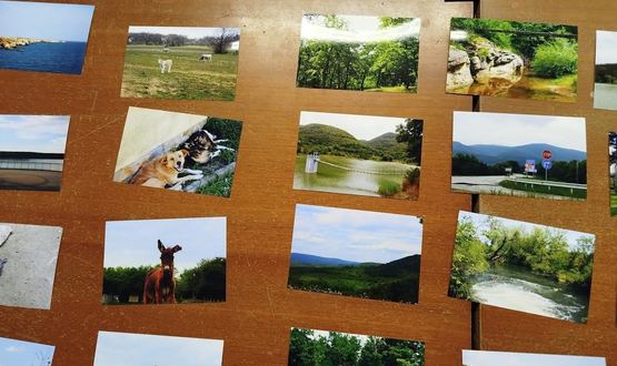 Снимки в библиотеката в Нови пазар