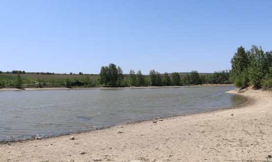 Община Нови пазар организира публичен търг за отдаване под наем на язовира в с. Мировци