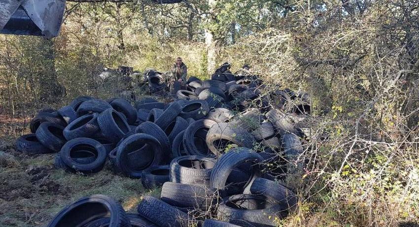 Горските от ДГС - Шумен изчистиха огромно незаконно сметище край Макашката кория