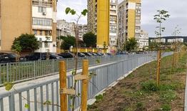 Община Шумен ще залеси минимум 3000 дървета