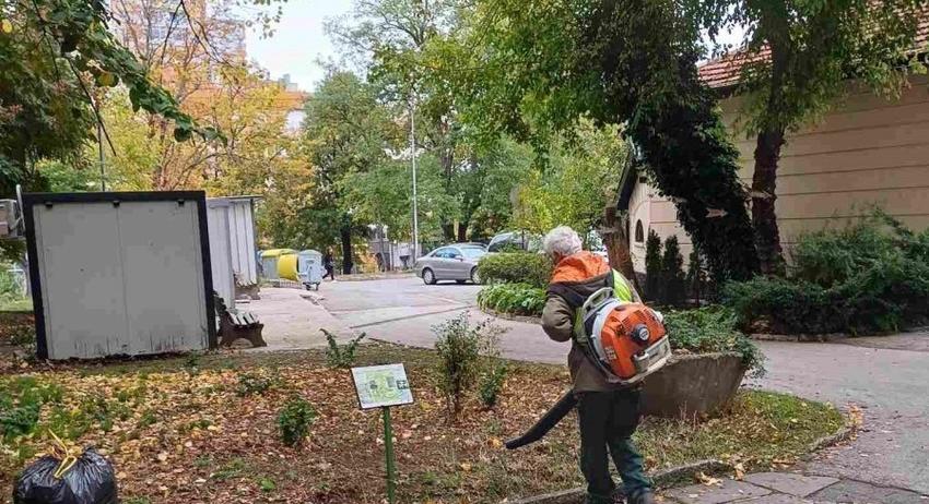 Започва кастрене на клони в Шумен