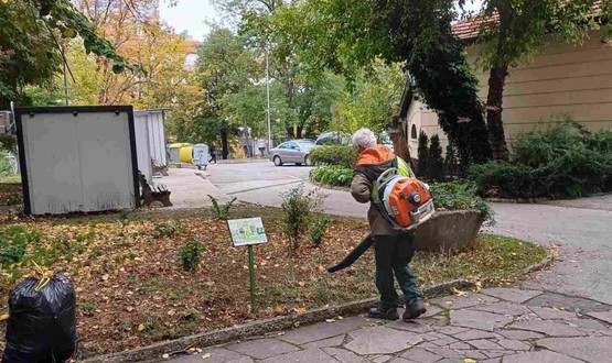 Започва кастрене на клони в Шумен