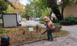 Започва кастрене на клони в Шумен