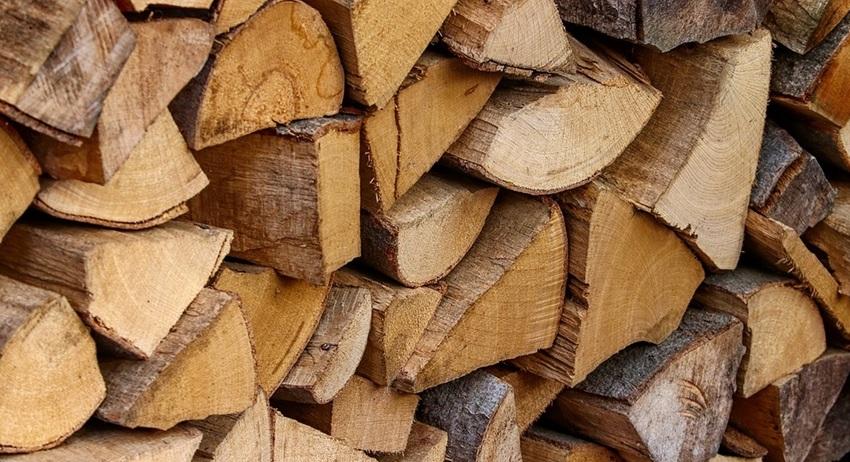 От 1 февруари започва подаването на заявления за дърва за огрев