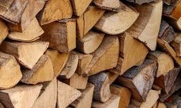 От 1 февруари започва подаването на заявления за дърва за огрев