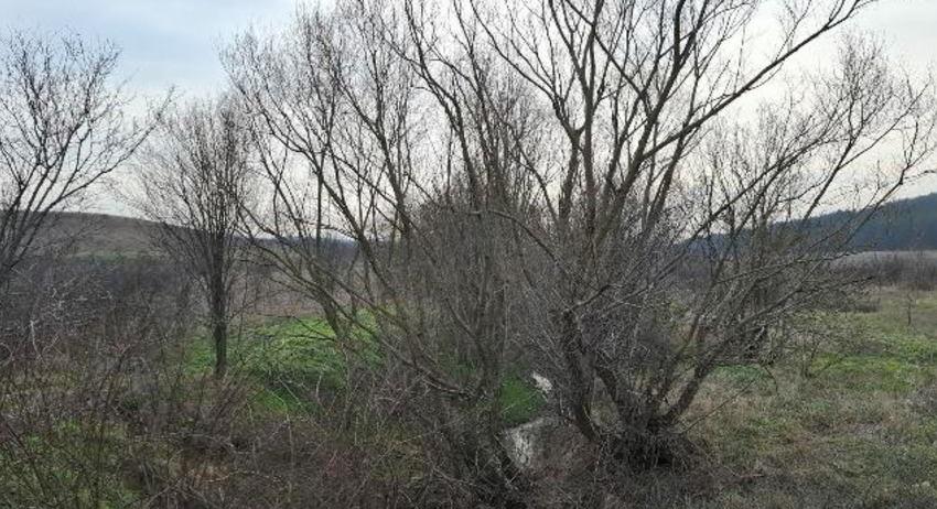 Провериха състоянието на речните корита и дерета на територията на област Шумен