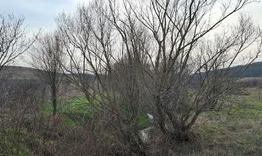 Провериха състоянието на речните корита и дерета на територията на област Шумен